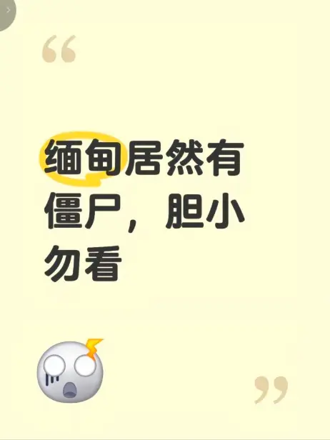 《缅甸僵尸出土事件》高清无删减完整版在线观看-缅北神秘事件真相揭秘-缅甸僵尸出土事件现场全程录像免费播放