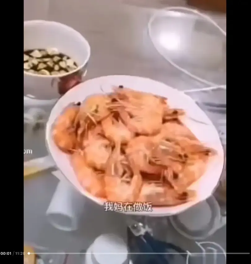 《大虾母子厨房完整版》高清视频免费在线看-猎奇视频梗的来龙去脉-看过视频就明白了