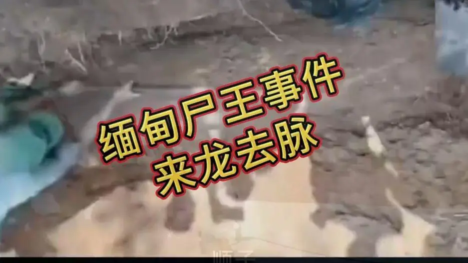 缅甸僵尸出土事件视频完整版资源下载 - 缅北僵尸出土事件始末原视频高清下载 - 超清未删减全程录像在线观看