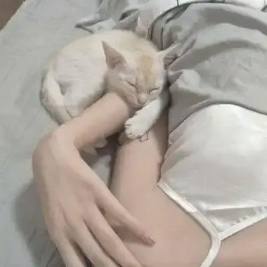 《森泽佳奈》高清全集无删减中文版在线观看-森泽佳奈免费无广告网盘资源1080P蓝光无水印下载